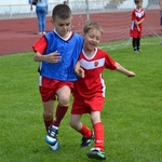 В Білій Церкві відбувся перший український футбольний турнір для дошкільнят 6/18