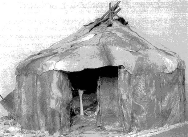 Реконструкція палеолітичного житла в Мізині