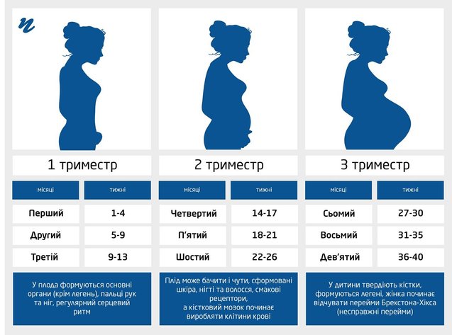 Як визначити свій тиждень вагітності 1/1