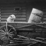 ФотоПАВЛО у Хмельницькому 9/30
