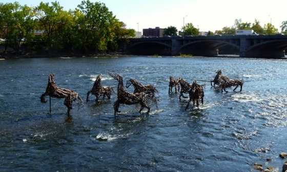 Коні на річці (фото)