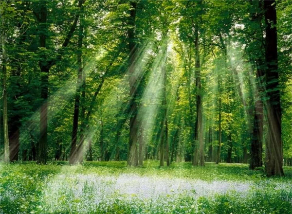 Мирослав Дочинець.<br />
Твоє місце 1/1