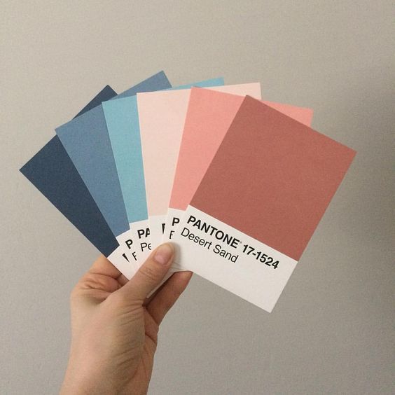 Що потрібно знати про Pantone 1/1