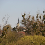 Воздвиженський костел у Фастові (фото)