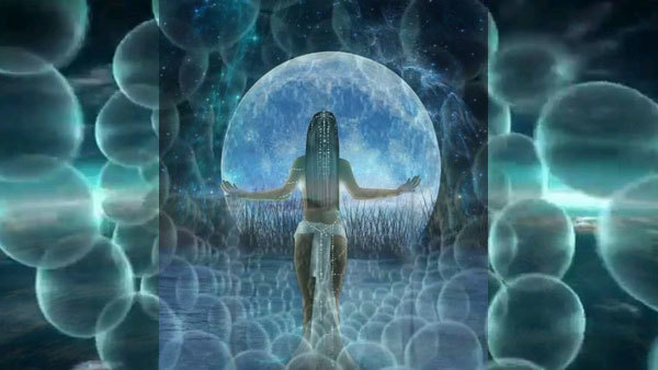 06 лютого 2019 року<br />
Кобра<br />
Небесні Бульбашки. Оновлення інформації 1/1