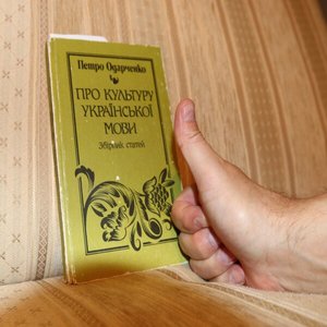 Мовна скарбничка від Ольги Шарко. Поради Петра Одарченка (частина друга)