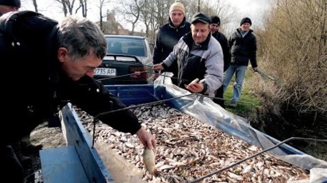 Зарибок-ІІ. Т-во Стара фортеця м.Скалат