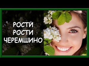 Українські патріотичні пісні. Рости, рости, Черемшино