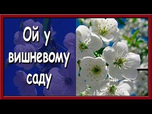 Ой, у вишневому саду