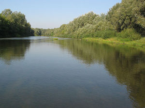 Куди пливе ця річка