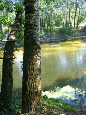 Усе насправді вода