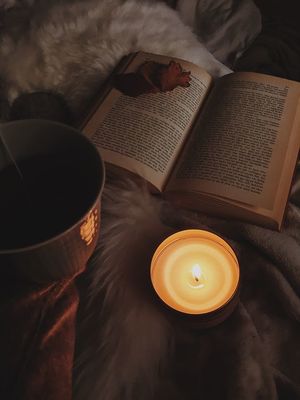 Книги українських авторів, що стали популярними у світі