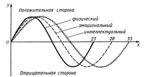 прогррама біоритмів