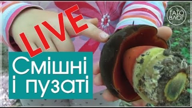По гриби ходили... і НЕ в Карпатах ) - LIVE