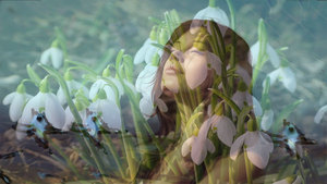 Вібраційний прогноз від Lee на березень 2019 року