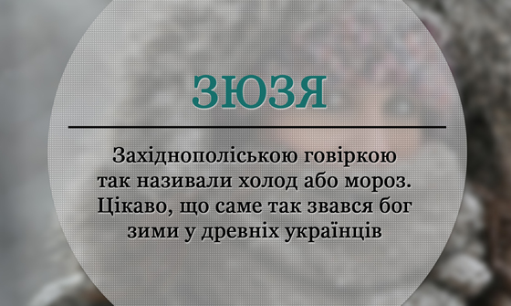 Модне слівце: Зюзя, значення слова