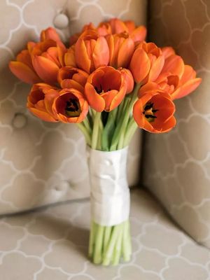 Головні квіти весни: як обрати букет тюльпанів
