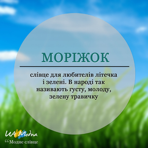 Моріжок 