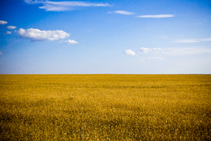 Село и патриотизм