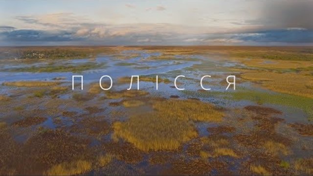 Вражаюче відео українського Полісся з висоти від проекту UKRAЇNER