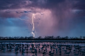 10 найкращих фотографій 2016 року від National Geographic