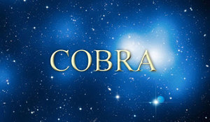 25 вересня 2019 року<br />
Кобра<br />
Зрушення. Оновлення інформації