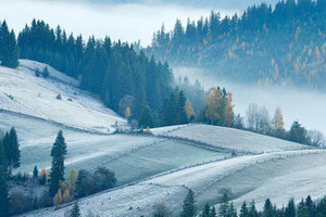 Вібраційний прогноз від Lee на лютий 2019 року