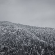 Карпати, природа, зима, фото