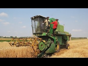 The harvest. Жнива. Полупанівка на Тернопіллі 24.07.2015 р.