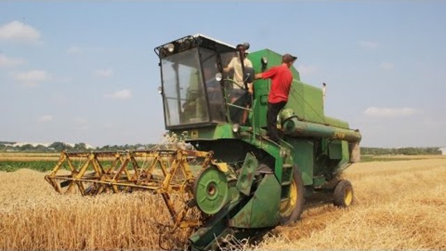 The harvest. Жнива. Полупанівка на Тернопіллі 24.07.2015 р.