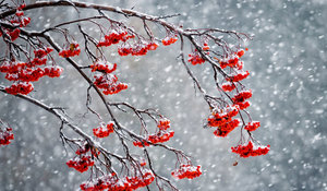 30 листопада 2019 року<br />
Вібраційний прогноз від lee на грудень 2019 року