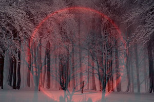 18 січня 2019 року<br />
Червоне повне затемнення Місяця з 13-30 січня<br />
плюс Супермісяць