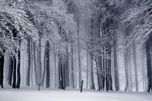 Енергії січня 2019 року