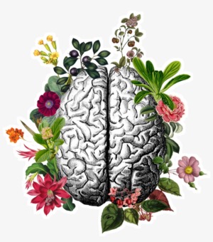 5 звичок кмітливого мозку