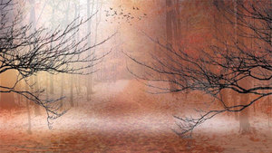 Енергії грудня 2018 року