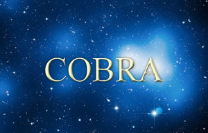 05 вересня 2019 року<br />
Кобра<br />
2020 й рік