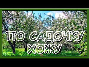 Українські народні пісні. По садочку ходжу