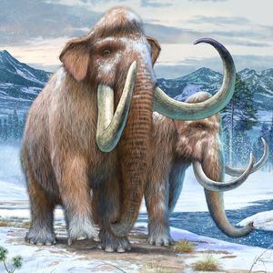Найдавніші календарі з мамонтових кісток знайдено в Україні