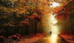 01 жовтня 2019 року<br />
Вібраційний прогноз від lee на жовтень 2019 року