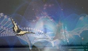 Вібраційний прогноз від lee на лютий 2026 року