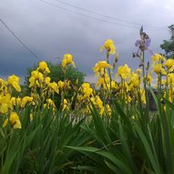 Кіровоград, міста України (фото)