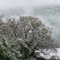 Травень 2025-го року. Українська панорама 122/397