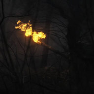 Травень 2025-го року. Українська панорама 310/397