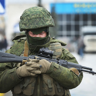 Україна, рік 2014-й. Рік Синього Дерев’яного Коня 46/229