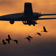 ​Червень 2025-го року. Українська панорама 61/332