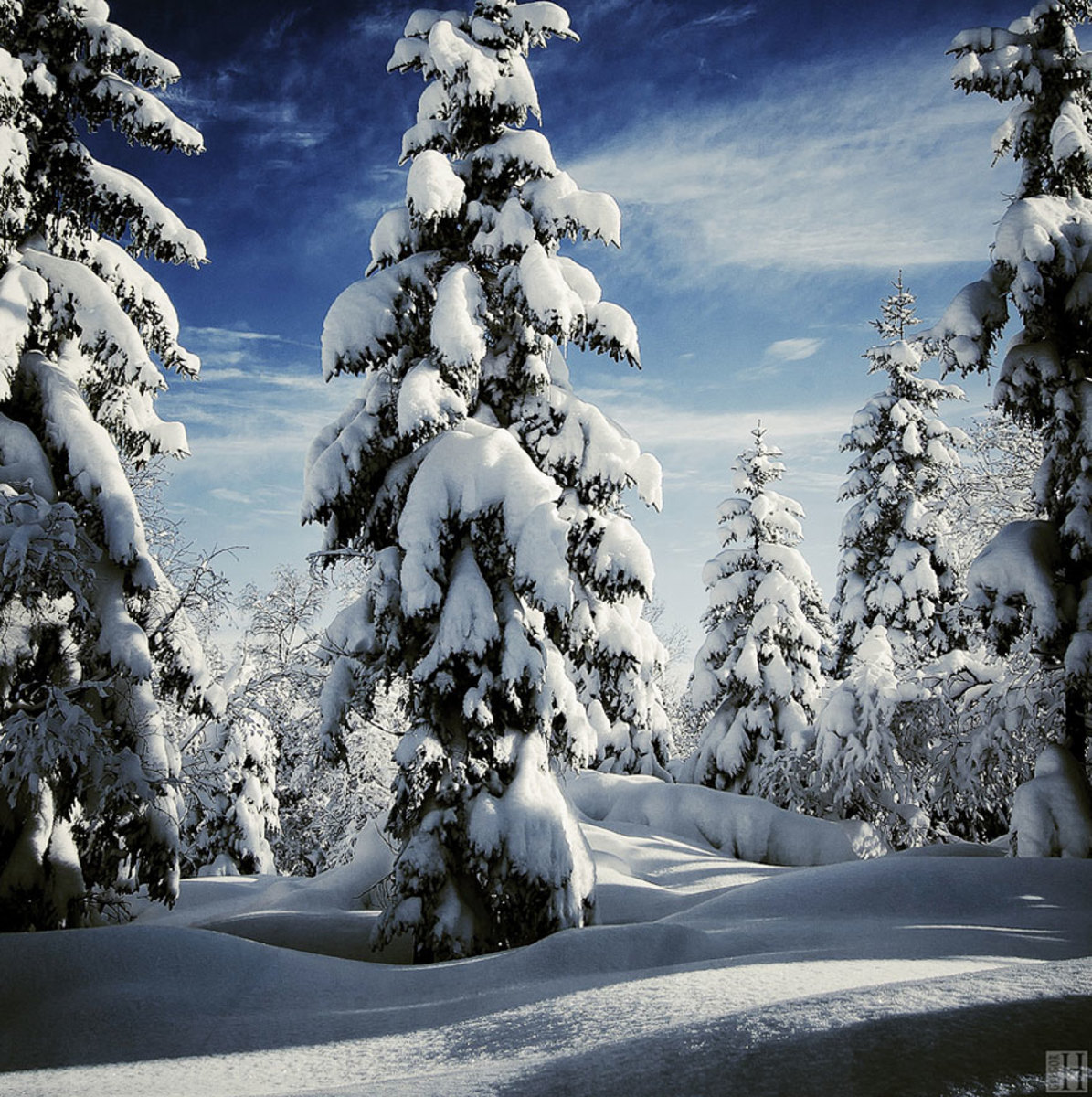 Красивая зима. КИШ манзаралари. Зимний пейзаж. Сказочный зимний лес.