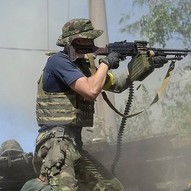 Україна, рік 2014-й. Рік Синього Дерев’яного Коня 35/229