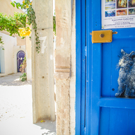 Туніс, галерея сучасного вуличного мистецтва під відкритим небом (фото)