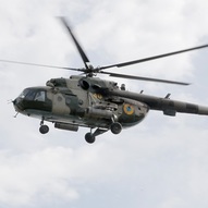 Україна, рік 2014-й. Рік Синього Дерев’яного Коня 176/229