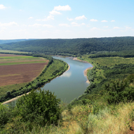 Скоморохи, Тернопільська область